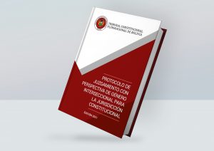 Lee más sobre el artículo PROTOCOLO DE JUZGAMIENTO CON PERSPECTIVA DE GÉNERO INTERSECCIONAL PARA LA JURISDICCIÓN CONSTITUCIONAL