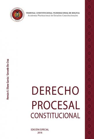 libro-derecho-procesal-constitucional