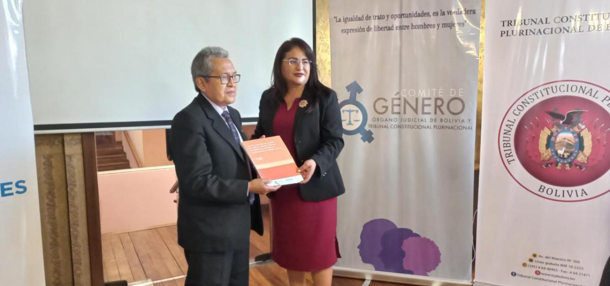 Comité de Género del Órgano Judicial de Bolivia - Pronunciamiento