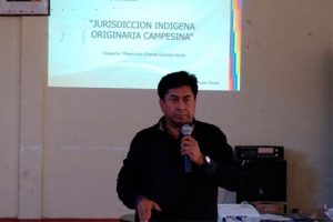 Lee más sobre el artículo TCP realizó Seminario Taller sobre JIOC en el marco de la Justicia Constitucional Plural