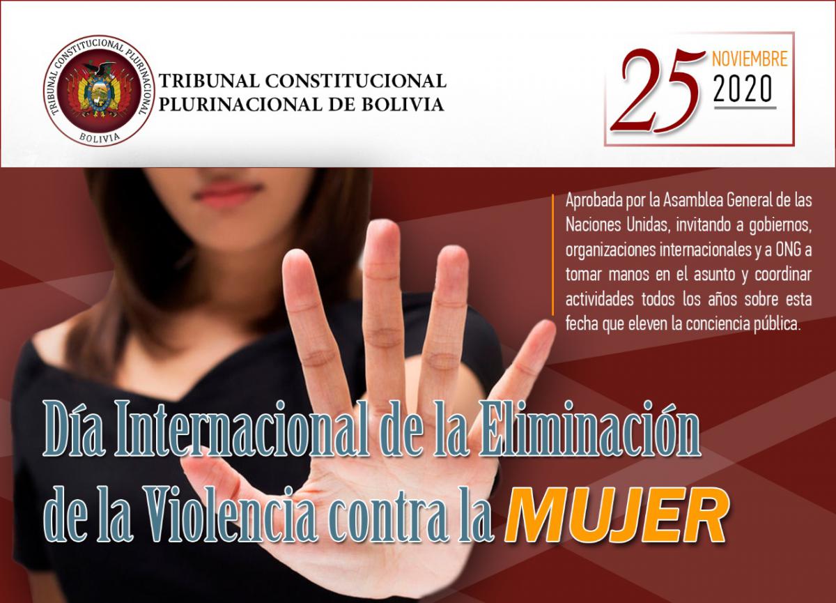 Lee más sobre el artículo DÍA INTERNACIONAL DE LA ELIMINACIÓN DE LA VIOLENCIA CONTRA LA MUJER