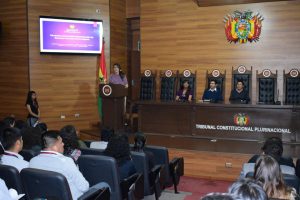 Lee más sobre el artículo TCP de Bolivia participó del Taller de Fortalecimiento en Normativa Internacional para la Prevención, Sanción, Erradicación y Eliminación de la Violencia contra la Mujer