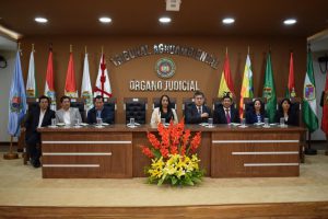 Lee más sobre el artículo Presidente y Magistrados del TCP asistieron a la Audiencia de RPC 2018 del Tribunal Agroambiental