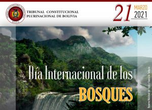 Lee más sobre el artículo DÍA INTERNACIONAL DE LOS BOSQUES – SCP 0260/2014