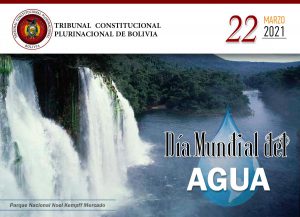 Lee más sobre el artículo DÍA MUNDIAL DEL AGUA