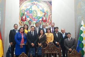 Lee más sobre el artículo Presidente Evo Morales promulga Ley de Creación de Salas Constitucionales