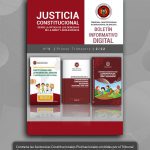 AFICHE BOLETIN DESCARGA 3