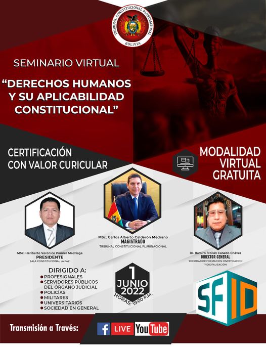 Lee más sobre el artículo SEMINARIO VIRTUAL «DERECHOS HUMANOS Y SU APLICABILIDAD CONSTITUCIONAL»