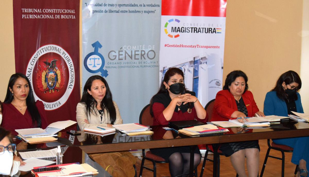 Lee más sobre el artículo MAGISTRADA GALLARDO PARTICIPÓ EN EL SEGUNDO DIÁLOGO DEL COMITÉ DE GÉNERO DEL ÓRGANO JUDICIAL Y TRIBUNAL CONSTITUCIONAL PLURINACIONAL SOBRE ACCESO A LA JUSTICIA DE MUJERES EN SITUACIÓN DE VIOLENCIA