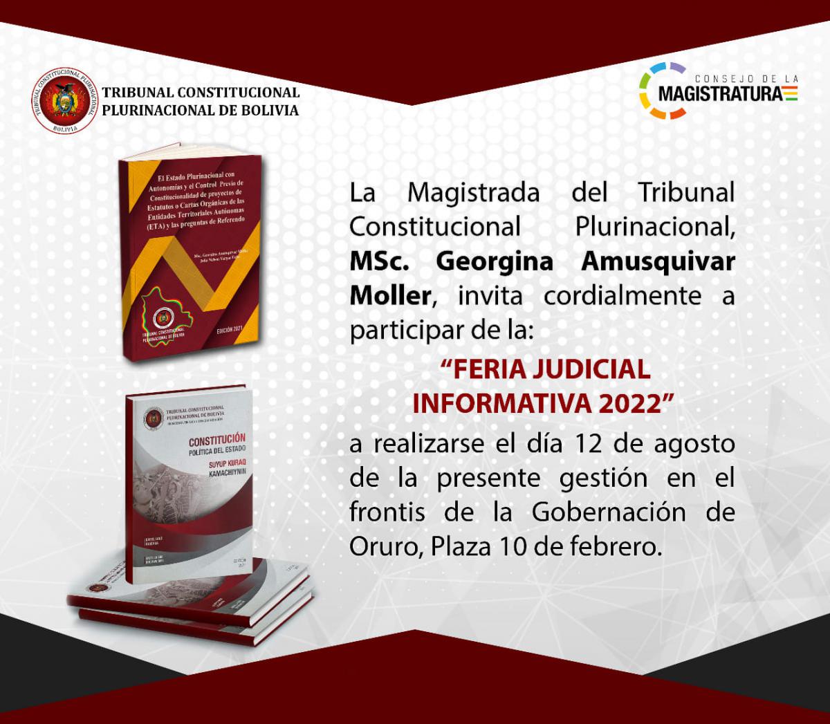 En este momento estás viendo LA MAGISTRADA DEL TRIBUNAL CONSTITUCIONAL PLURINACIONAL, MSC. GEORGINA AMUSQUIVAR MOLLER