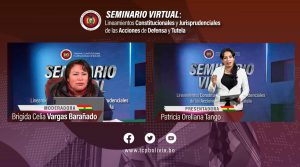 Lee más sobre el artículo CONCLUYE CON ÉXITO SEMINARIO INTERNACIONAL EN ACCIONES DE DEFENSA Y TUTELA ORGANIZADO POR EL TCP