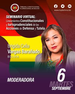 Lee más sobre el artículo SEGUNDA JORNADA DEL SEMINARIO INTERNACIONAL: “LINEAMIENTOS CONSTITUCIONALES U JURISPRUDENCIALES DE LAS ACCIONES DE DEFENSA Y TUTELA”