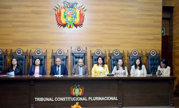 En este momento estás viendo PRESIDENTE DEL TCP DESTACA LABOR DE IMPARTICIÓN DE JUSTICIA CONSTITUCIONAL CON PERSPECTIVA DE GÉNERO