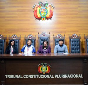 Lee más sobre el artículo MAGISTRADA BRIGIDA VARGAS BARAÑADO SOSTUVO REUNIÓN INFORMATIVA CON AUTORIDADES DEL CONCEJO MUNICIPAL DE ACHACACHI DEL DEPARTAMENTO DE LA PAZ