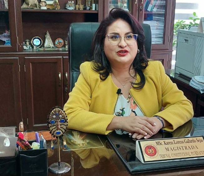 Lee más sobre el artículo CONCLUYÓ CURSO DE FORMACIÓN EN MASCULINIDADES DIVERSAS Y PLURALES DIRIGIDA A IMPARTIDORES DE JUSTICIA CONSTITUCIONAL Y ORDINARIA