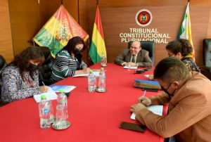 Lee más sobre el artículo TCP Y COMITÉ DE GÉNERO DEL ÓRGANO JUDICIAL SOSTUVIERON REUNIÓN DE COORDINACIÓN Y PLANIFICACIÓN DE ACTIVIDADES PARA LA GESTIÓN 2023