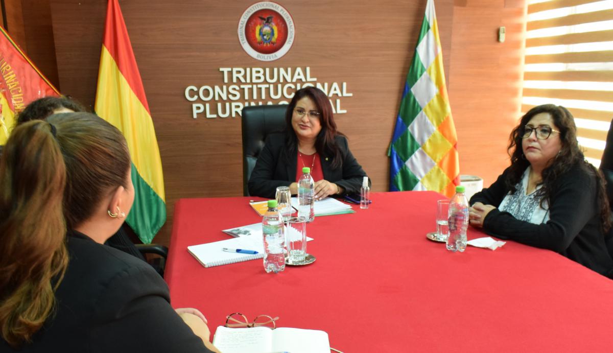 En este momento estás viendo TCP Y COMITÉ DE DERECHOS HUMANOS DE NACIONES UNIDAS SOSTUVIERON REUNIÓN INFORMATIVA Y DE COORDINACIÓN