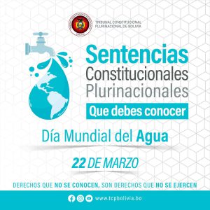 Lee más sobre el artículo DÍA MUNDIAL DEL AGUA, SENTENCIAS CONSTITUCIONALES PLURINACIONALES