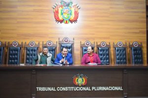 Lee más sobre el artículo TCP RECIBE LA VISITA DE ESTUDIANTES DE LA UNIVERSIDAD PRIVADA DOMINGO SAVIO (UPDS) SEDE POTOSÍ