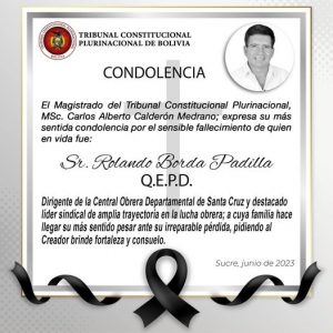 Lee más sobre el artículo SENTIDA CONDOLENCIA