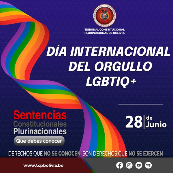 Lee más sobre el artículo DÍA INTERNACIONAL DEL ORGULLO LGBTIQ+, SENTENCIAS CONSTITUCIONALES PLURINACIONALES