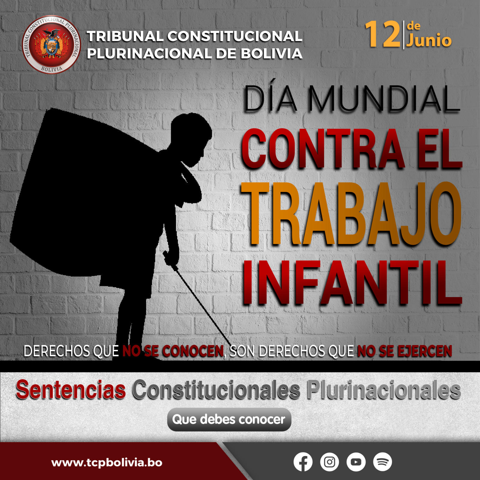 Lee más sobre el artículo DÍA MUNDIAL CONTRA EL TRABAJO INFANTIL, SENTENCIA CONSTITUCIONAL PLURINACIONAL
