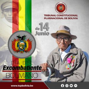 Lee más sobre el artículo DÍA DEL EXCOMBATIENTE