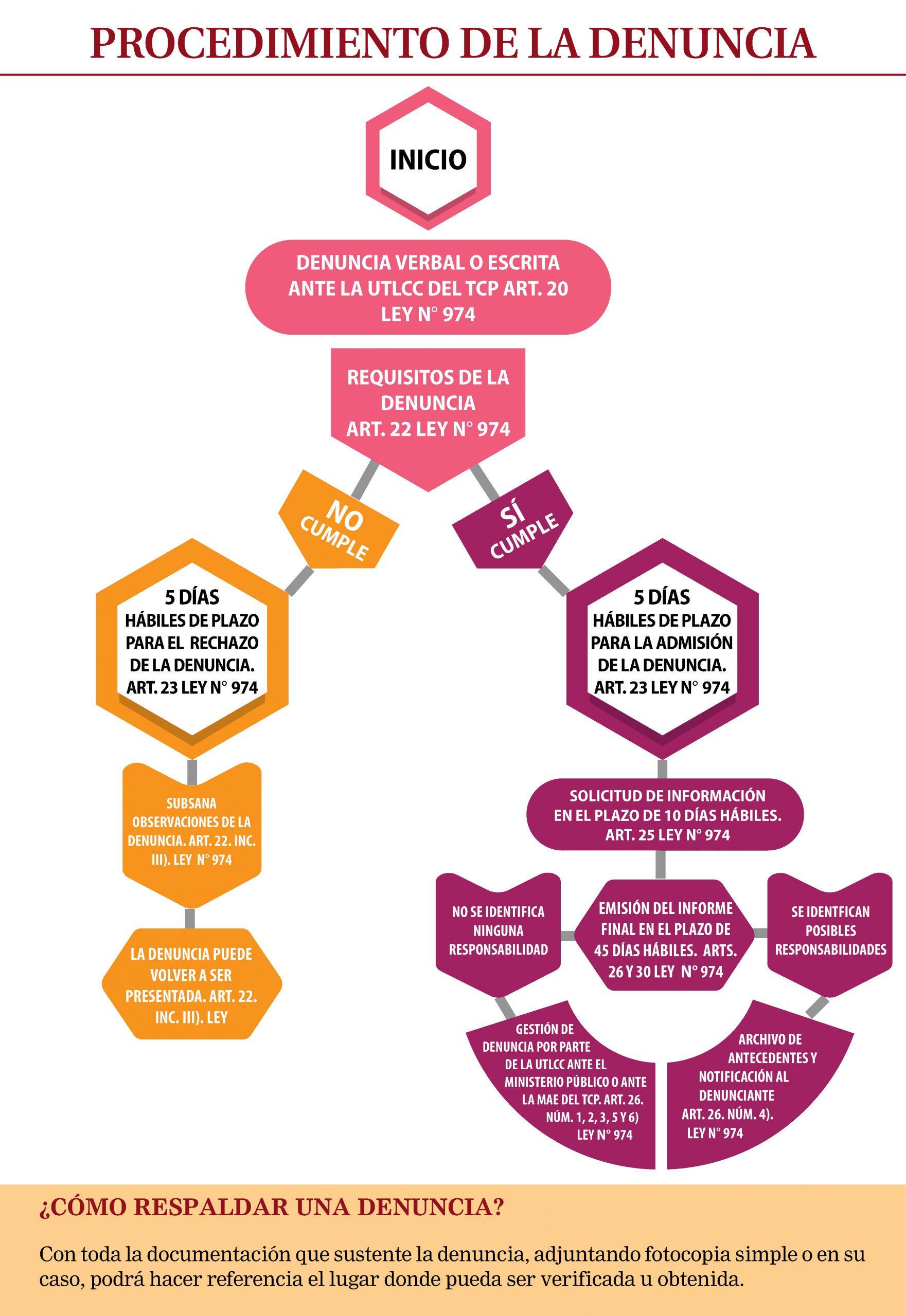 Procedimiento de la Denuncia