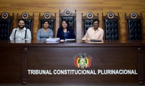 Lee más sobre el artículo MAGISTRADA KAREM GALLARDO REALIZÓ LA ENTREGA DE LA CARTA ORGÁNICA CON COMPATIBILIDAD PLENA AL MUNICIPIO DE OMEREQUE DEL DEPARTAMENTO DE COCHABAMBA