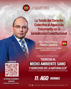 Lee más sobre el artículo SEGUNDA JORNADA DEL SEMINARIO INTERNACIONAL “DERECHO AL MEDIO AMBIENTE SANO Y DERECHOS DE LA NATURALEZA”