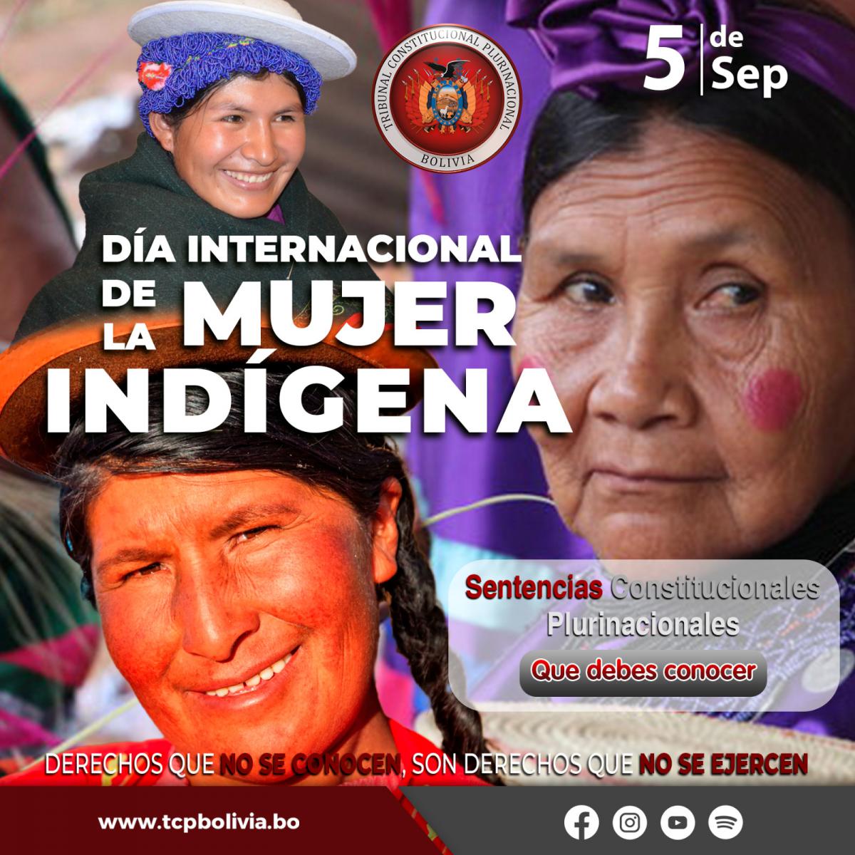 En este momento estás viendo DÍA INTERNACIONAL DE LA MUJER INDÍGENA, SENTENCIAS CONSTITUCIONALES PLURINACIONALES