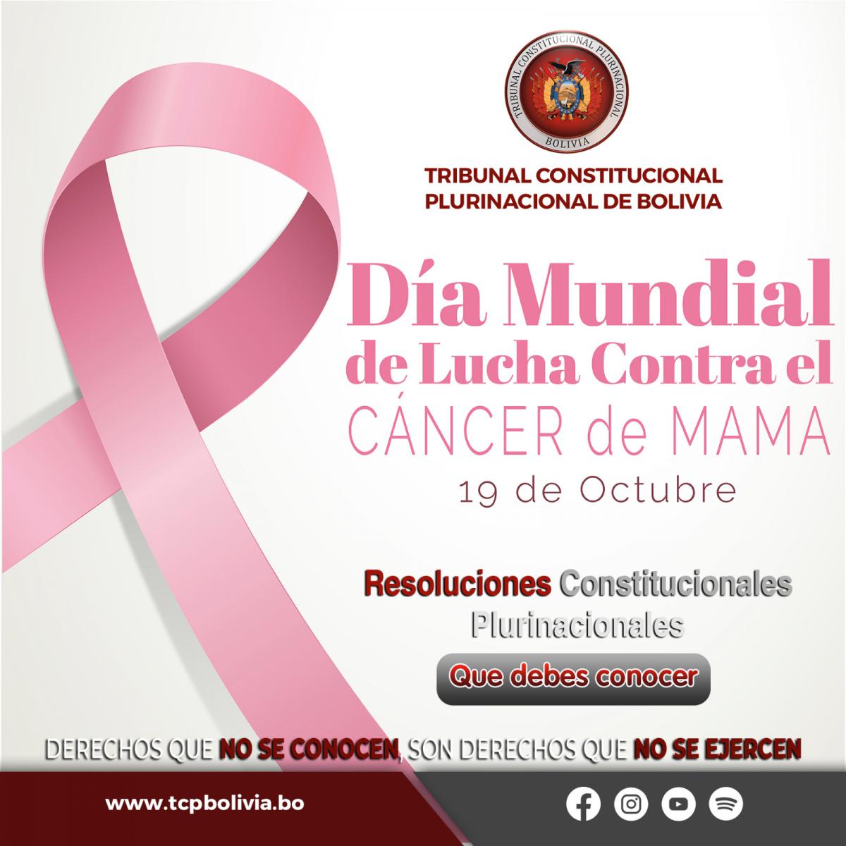 En este momento estás viendo DÍA MUNDIAL DE LUCHA CONTRA EL CÁNCER DE MAMA, RESOLUCIONES CONSTITUCIONALES PLURINACIONALES
