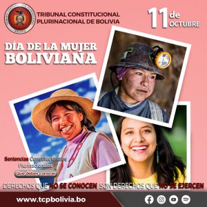 Lee más sobre el artículo DÍA DE LA MUJER BOLIVIANA SENTENCIAS CONSTITUCIONALES PLURINACIONALES