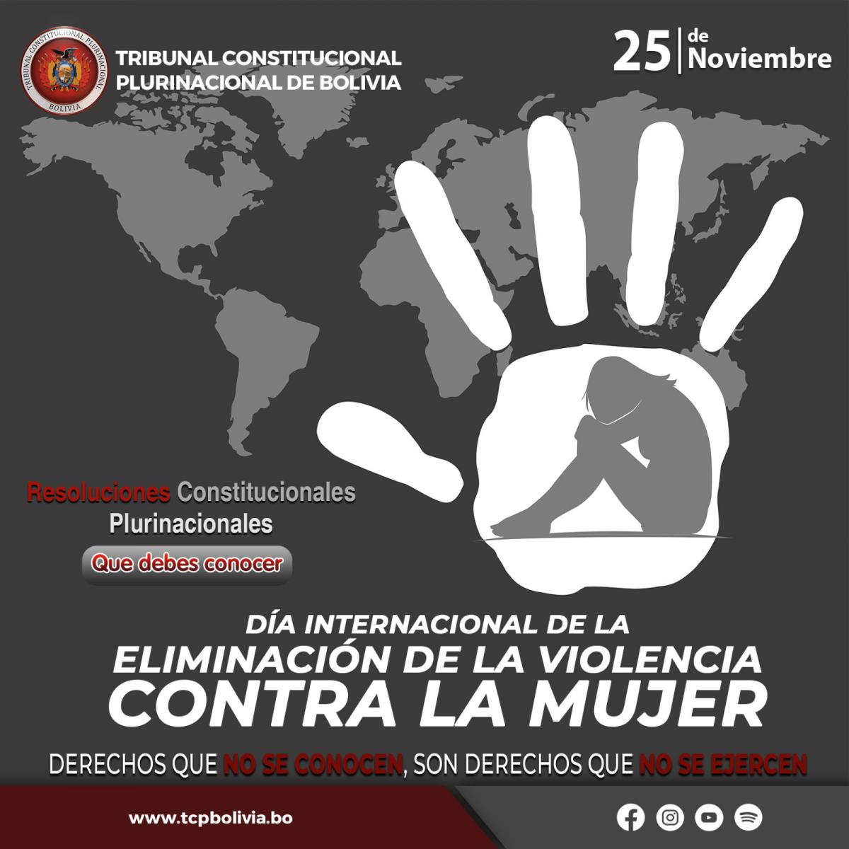 Lee más sobre el artículo DÍA INTERNACIONAL DE LA ELIMINACIÓN DE LA VIOLENCIA CONTRA LA MUJER SENTENCIAS CONSTITUCIONALES PLURINACIONALES