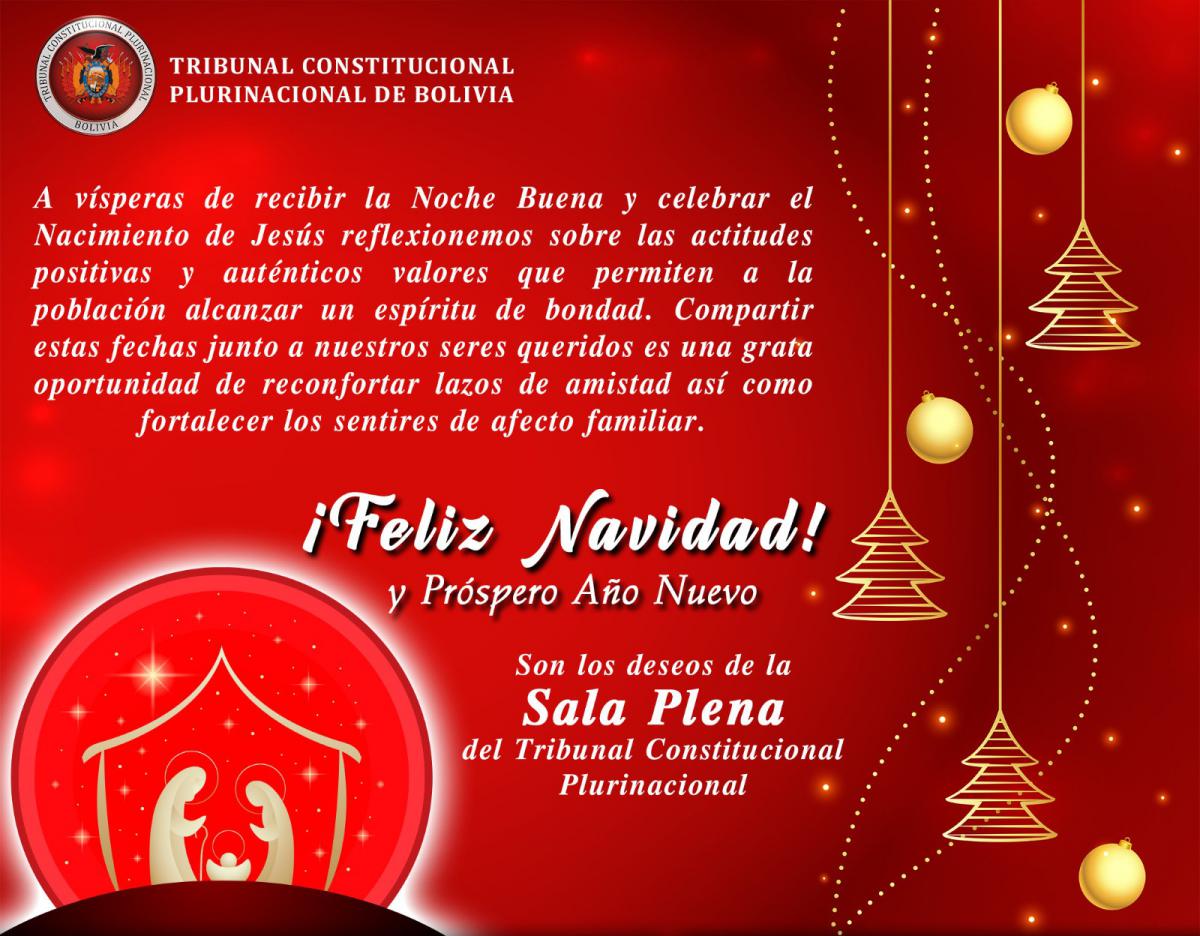 Lee más sobre el artículo ¡FELIZ NAVIDAD Y PRÓSPERO AÑO NUEVO 2024!, SON LOS SINCEROS DESEOS DE LA SALA PLENA DEL TCP