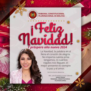 Lee más sobre el artículo ¡FELIZ NAVIDAD Y PRÓSPERO AÑO NUEVO 2024!, MAGISTRADA MSc. JULIA ELIZABETH CORNEJO GALLARDO