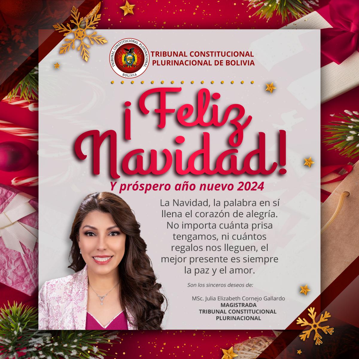 Lee más sobre el artículo ¡FELIZ NAVIDAD Y PRÓSPERO AÑO NUEVO 2024!, MAGISTRADA MSc. JULIA ELIZABETH CORNEJO GALLARDO