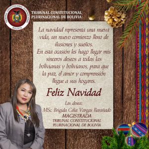 Lee más sobre el artículo ¡FELIZ NAVIDAD!, MAGISTRADA MSc. BRIGIDA CELIA VARGAS BARAÑADO