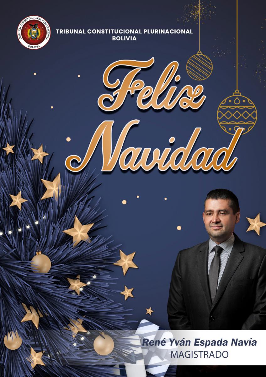 Lee más sobre el artículo ¡FELIZ NAVIDAD!, RENÉ YVÁN ESPADA NAVÍA