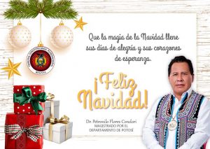 Lee más sobre el artículo ¡FELIZ NAVIDAD!, DR. PETRONILO FLORES CONDORI