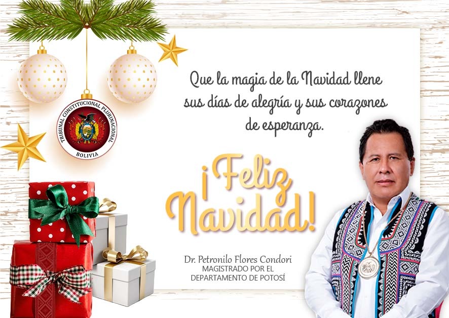 Lee más sobre el artículo ¡FELIZ NAVIDAD!, DR. PETRONILO FLORES CONDORI
