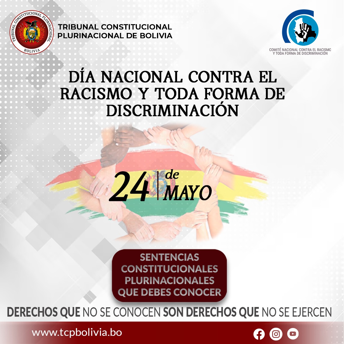 Lee más sobre el artículo DÍA NACIONAL CONTRA EL RACISMO Y TODA FORMA DE DISCRIMINACIÓN, SENTENCIAS CONSTITUCIONALES PLURINACIONALES