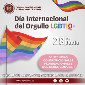 Lee más sobre el artículo DÍA INTERNACIONAL DEL ORGULLO LGBTIQ+, SENTENCIAS CONSTITUCIONALES PLURINACIONALES