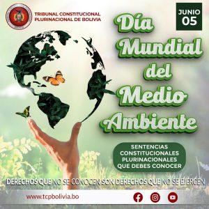 Lee más sobre el artículo “DÍA MUNDIAL DEL MEDIO AMBIENTE”, SENTENCIAS CONSTITUCIONALES PLURINACIONALES