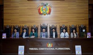 Lee más sobre el artículo PRESENTAN INVESTIGACIÓN: “EL ACOSO Y LA VIOLENCIA POLÍTICA EN EL SISTEMA DE JUSTICIA PENAL EN BOLIVIA”, APORTE LITERARIO DE LA COLECCIÓN DE MUJERES EN LA POLÍTICA