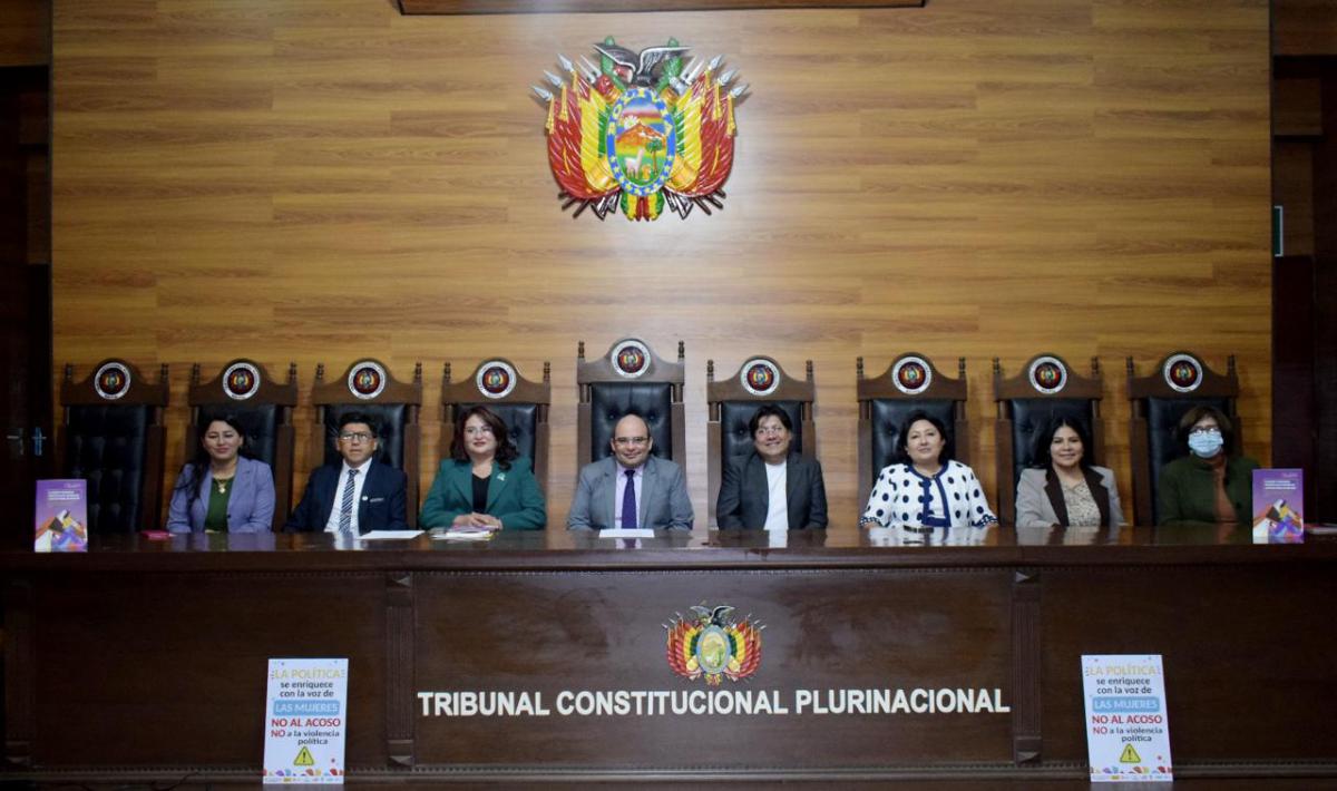 En este momento estás viendo PRESENTAN INVESTIGACIÓN: “EL ACOSO Y LA VIOLENCIA POLÍTICA EN EL SISTEMA DE JUSTICIA PENAL EN BOLIVIA”, APORTE LITERARIO DE LA COLECCIÓN DE MUJERES EN LA POLÍTICA