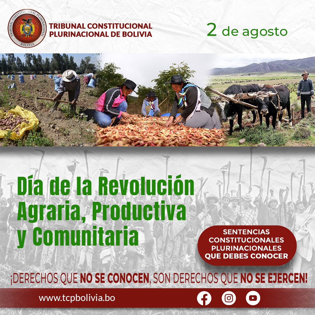 En este momento estás viendo DÍA DE LA REVOLUCIÓN AGRARIA, PRODUCTIVA Y COMUNITARIA, SENTENCIAS CONSTITUCIONALES PLURINACIONALES