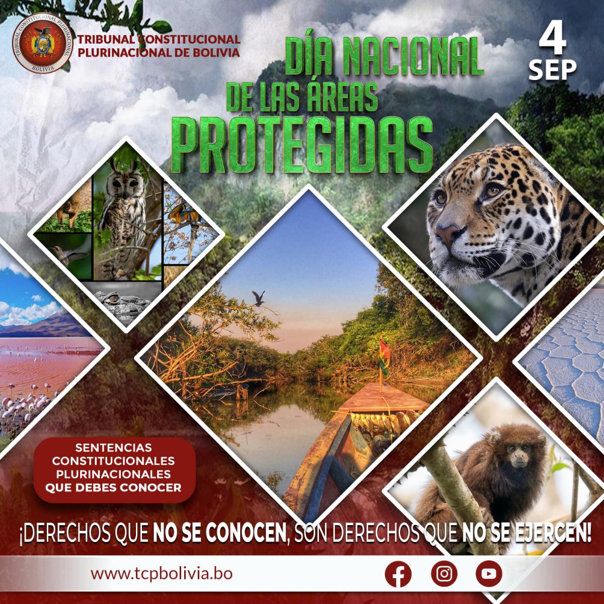 En este momento estás viendo DÍA NACIONAL DE LAS ÁREAS PROTEGIDAS, SENTENCIAS CONSTITUCIONALES PLURINACIONALES
