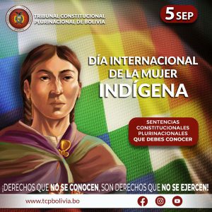 Lee más sobre el artículo DÍA INTERNACIONAL DE LA MUJER INDÍGENA, SENTENCIAS CONSTITUCIONALES PLURINACIONALES