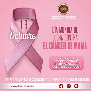 Lee más sobre el artículo DÍA MUNDIAL DE LUCHA CONTRA EL CÁNCER DE MAMA, SENTENCIAS CONSTITUCIONALES PLURINACIONALES
